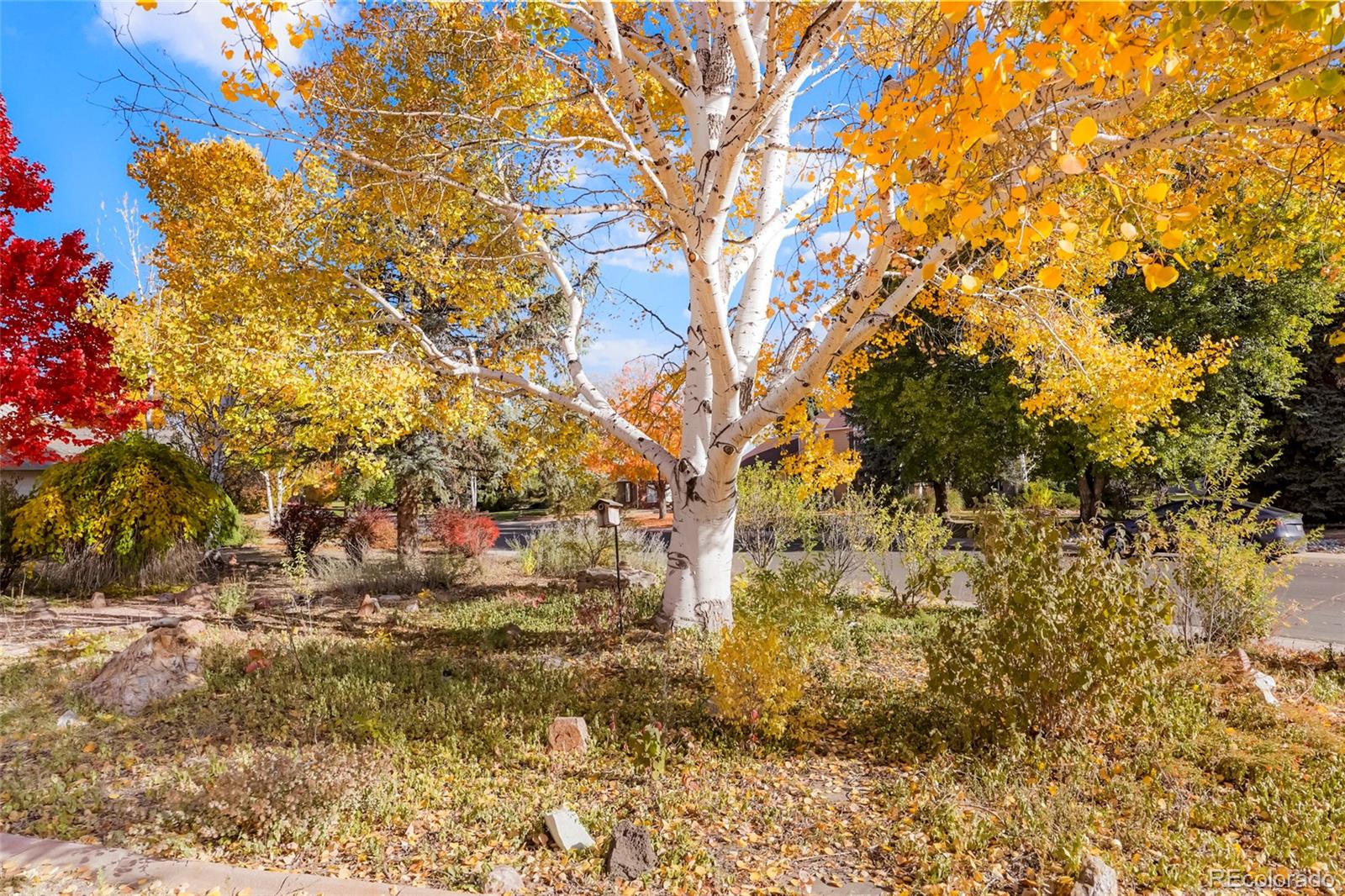 CMA Image for 2535  55th Avenue,Greeley, Colorado