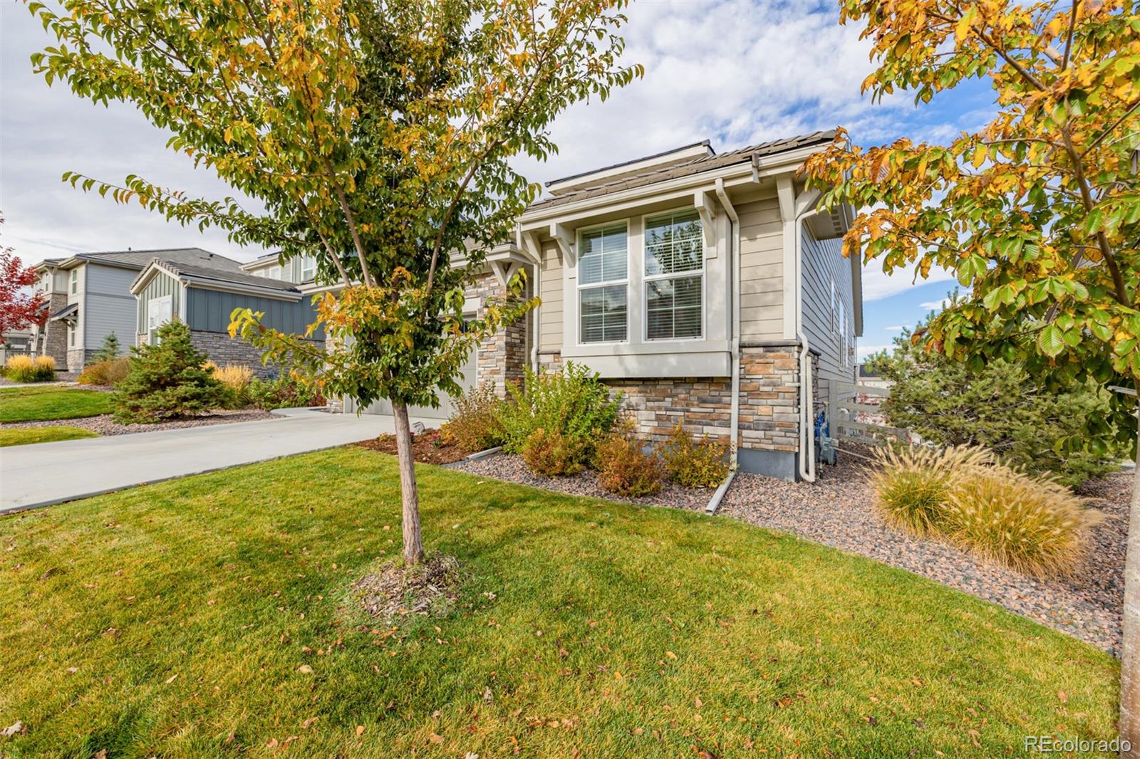 MLS Image #38 for 16293  mount mestas way,broomfield, Colorado