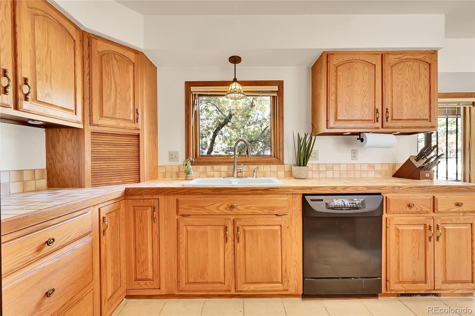 MLS Image #13 for 5526  irish pat murphy drive,parker, Colorado