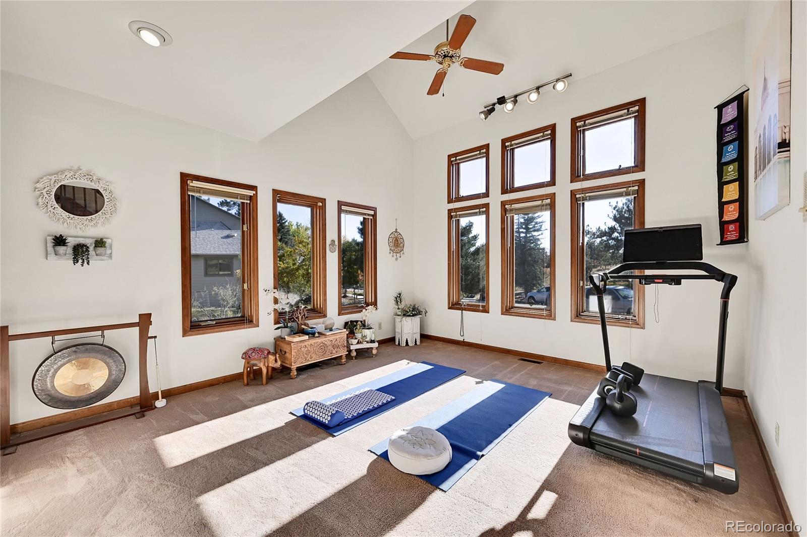 MLS Image #4 for 5526  irish pat murphy drive,parker, Colorado