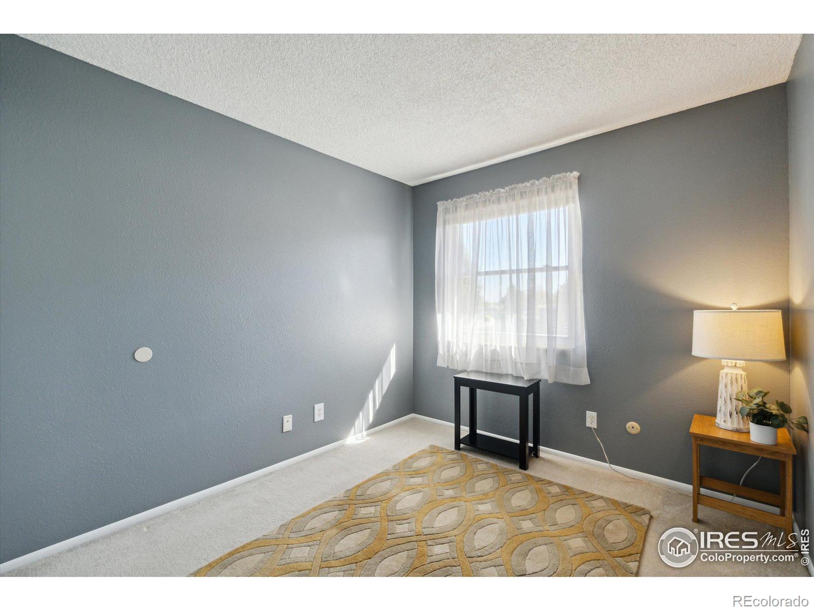 MLS Image #15 for 3146 w 134th court,broomfield, Colorado