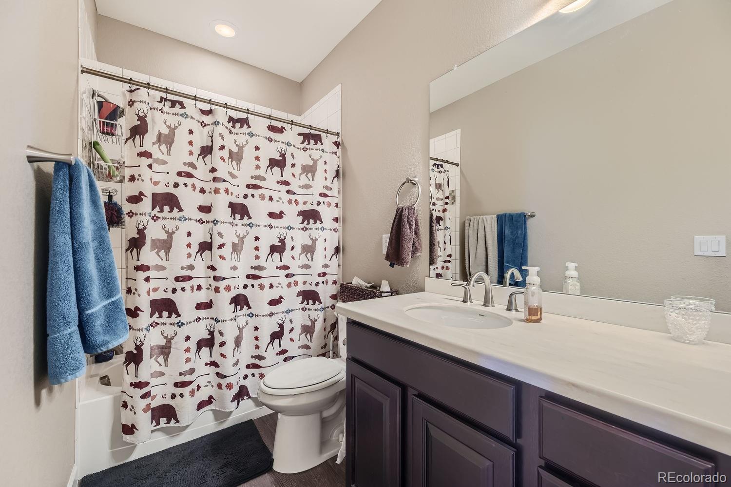 MLS Image #21 for 6673  mentha drive,castle rock, Colorado