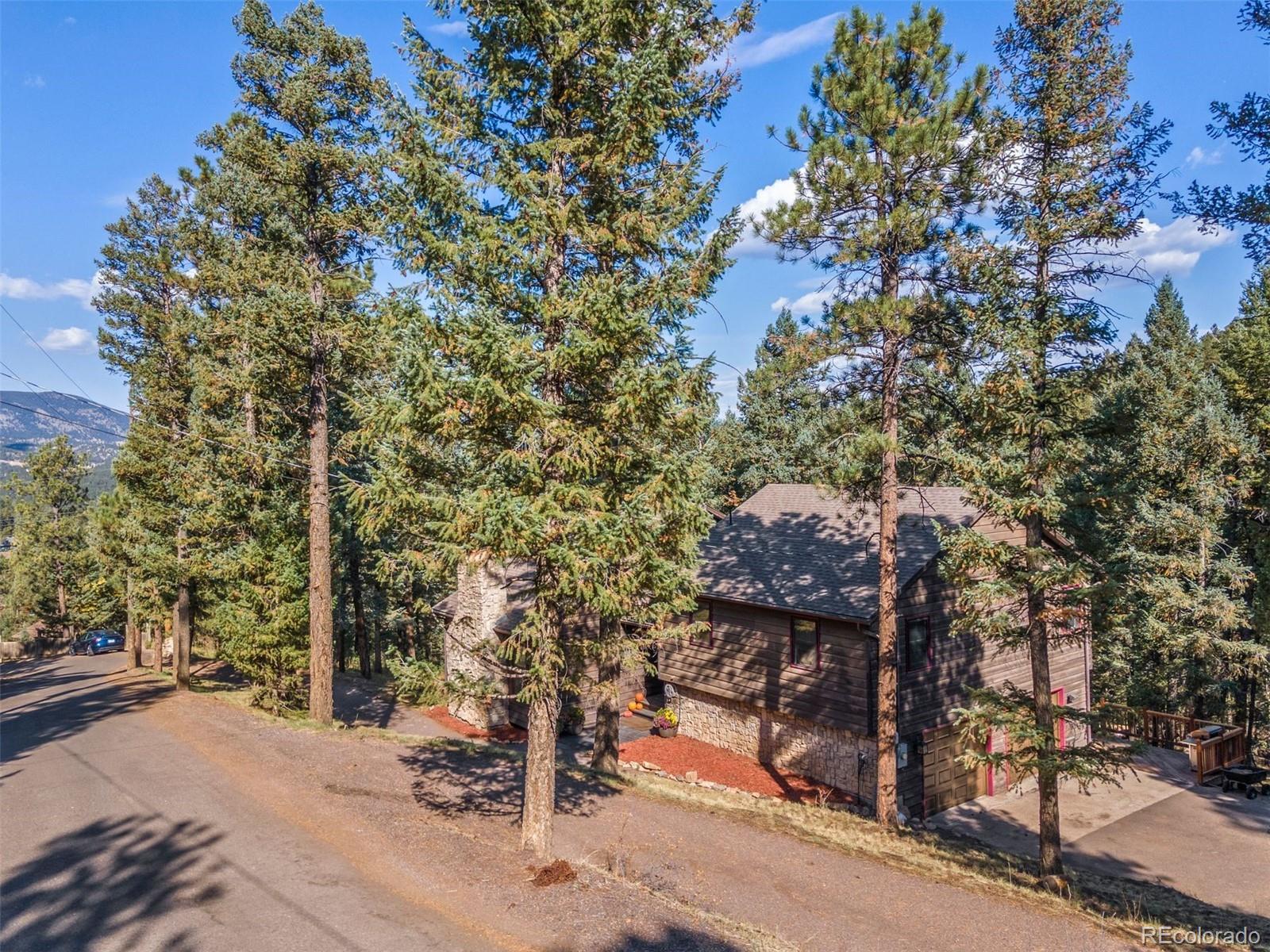 MLS Image #40 for 26975  fern gulch road,evergreen, Colorado