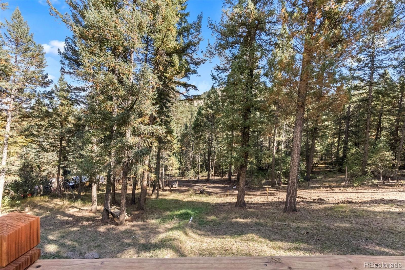 MLS Image #41 for 26975  fern gulch road,evergreen, Colorado