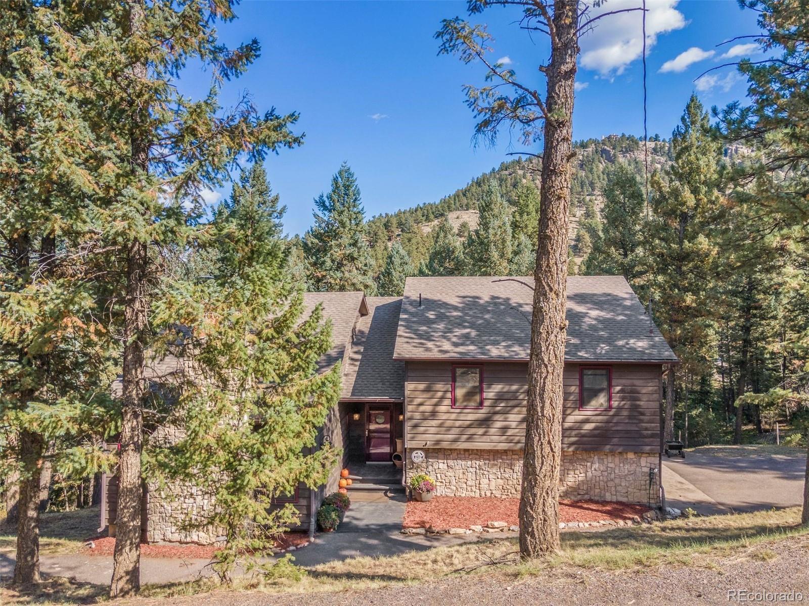 MLS Image #44 for 26975  fern gulch road,evergreen, Colorado