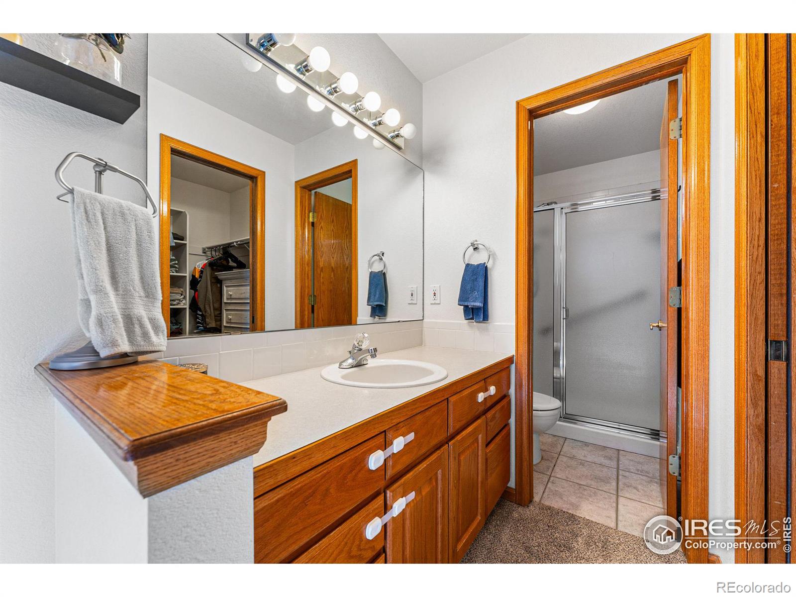 MLS Image #18 for 2558  serena drive,mead, Colorado