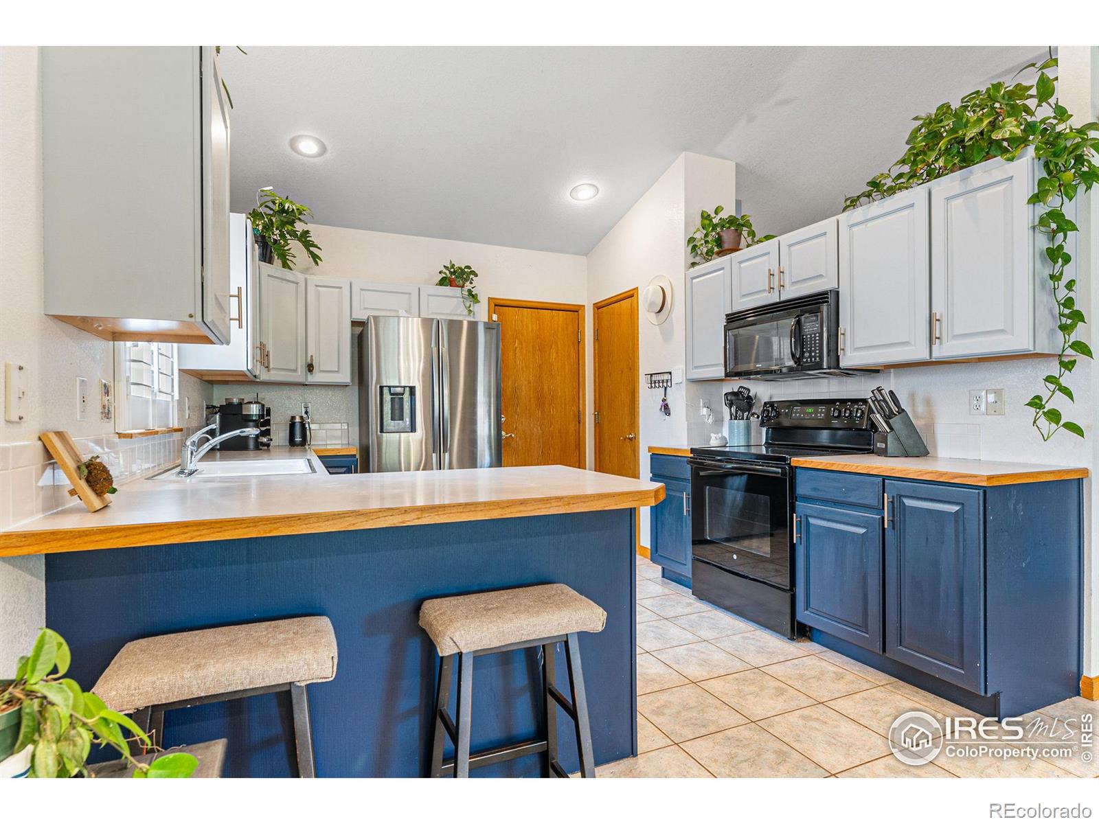 MLS Image #5 for 2558  serena drive,mead, Colorado