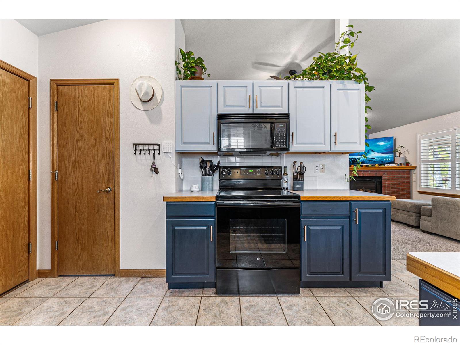 MLS Image #6 for 2558  serena drive,mead, Colorado