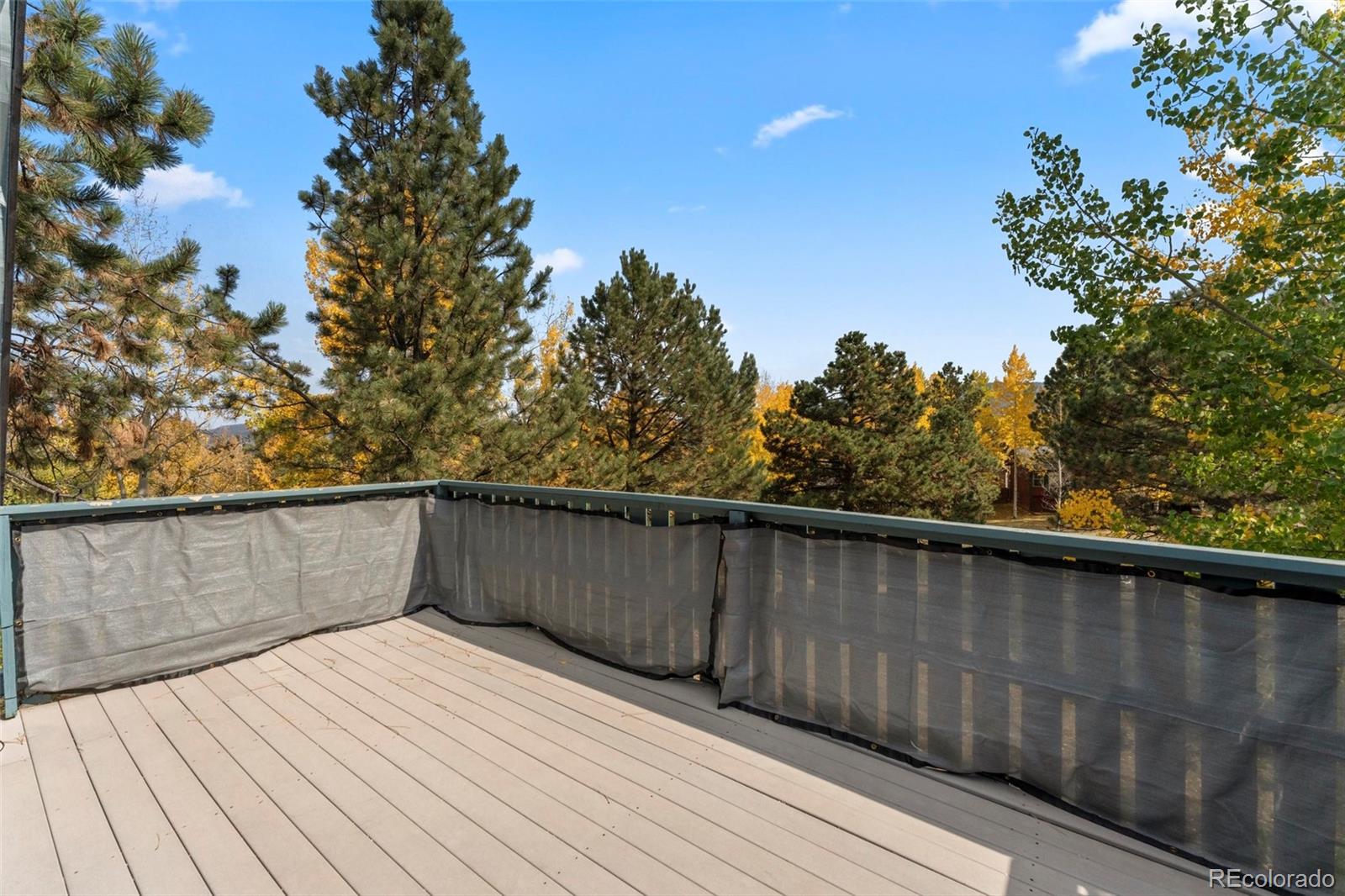 MLS Image #29 for 604  whispering winds drive,woodland park, Colorado