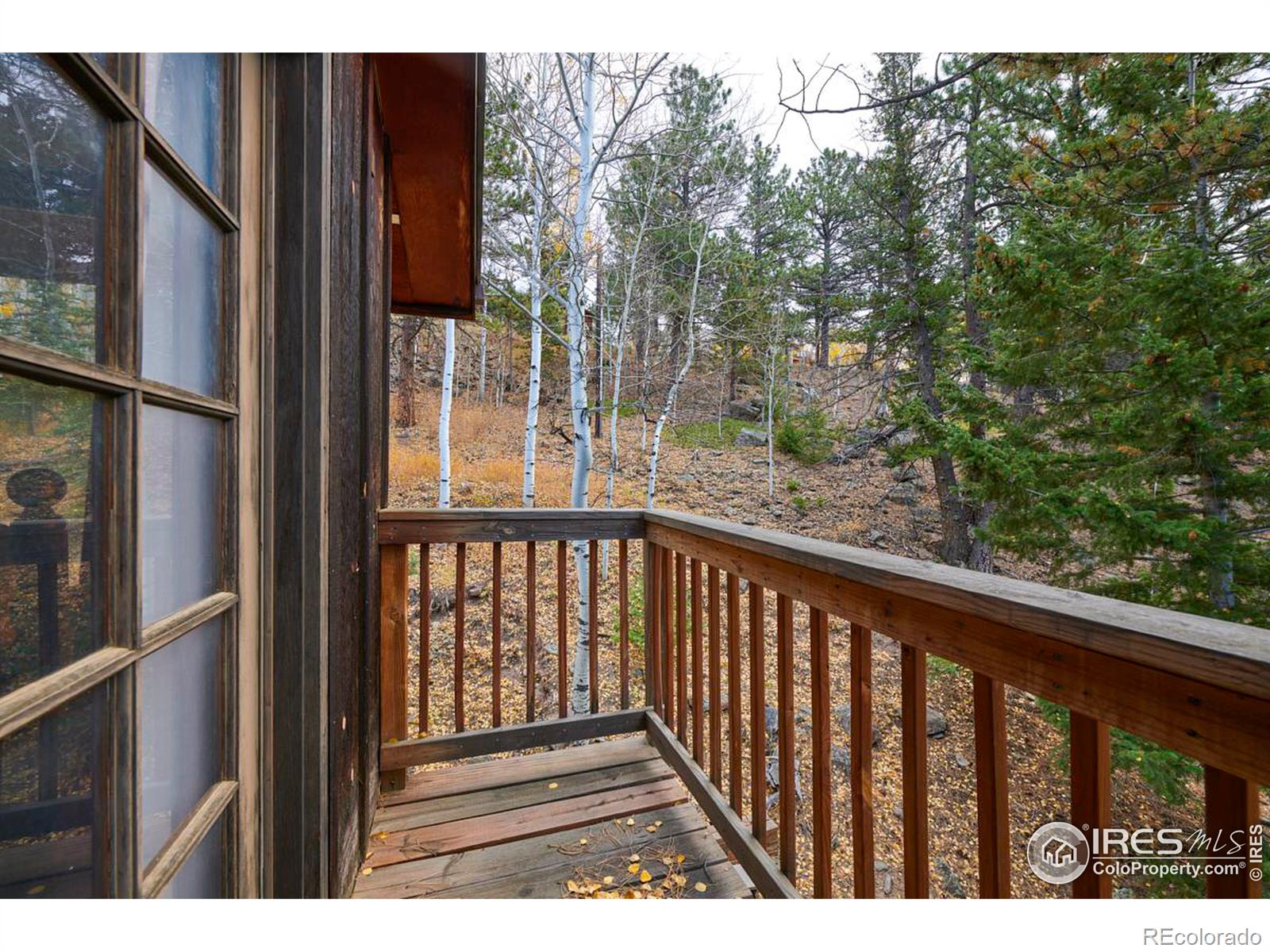 MLS Image #14 for 191  assay office road,rollinsville, Colorado