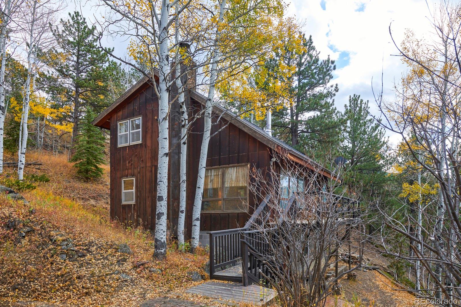 MLS Image #28 for 191  assay office road,rollinsville, Colorado