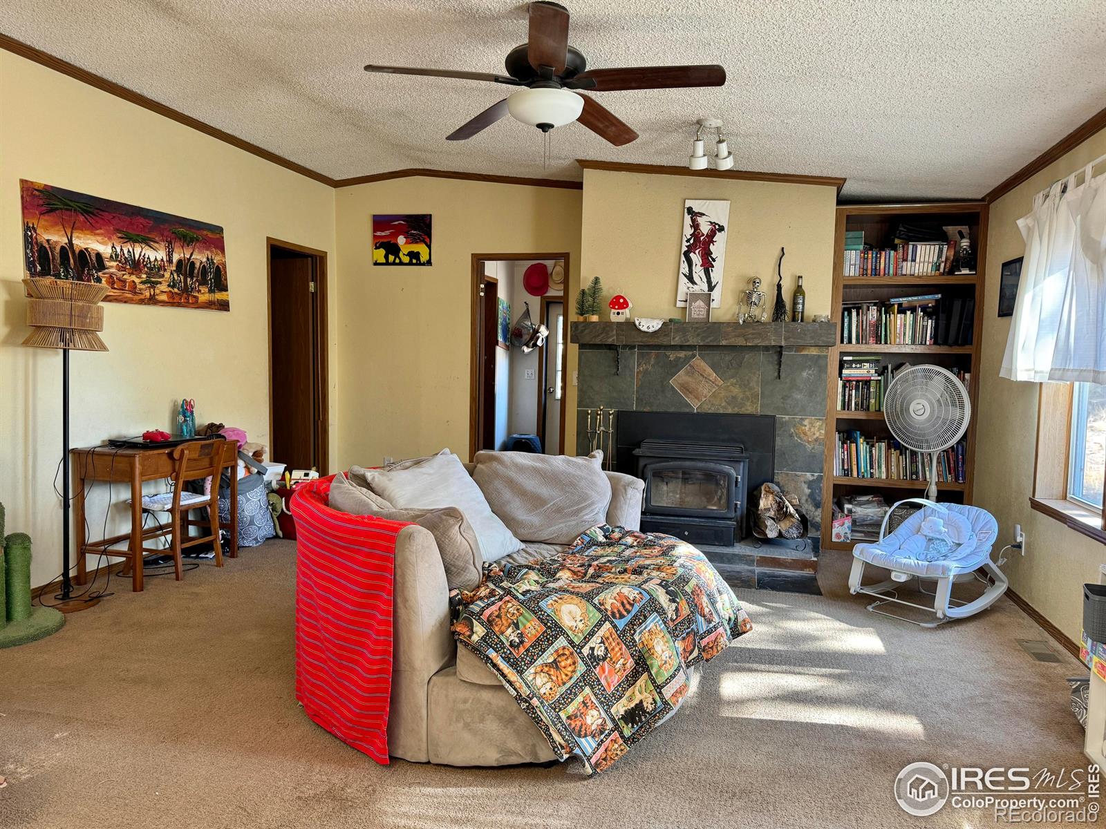 MLS Image #21 for 4393  green mountain drive,livermore, Colorado