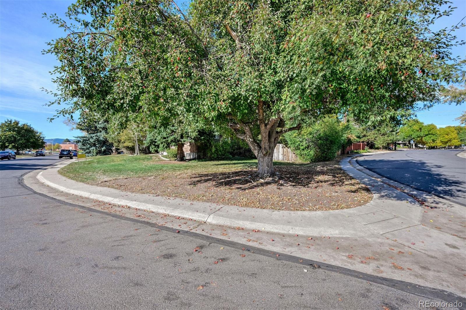 MLS Image #20 for 1705 s vivian court,lakewood, Colorado