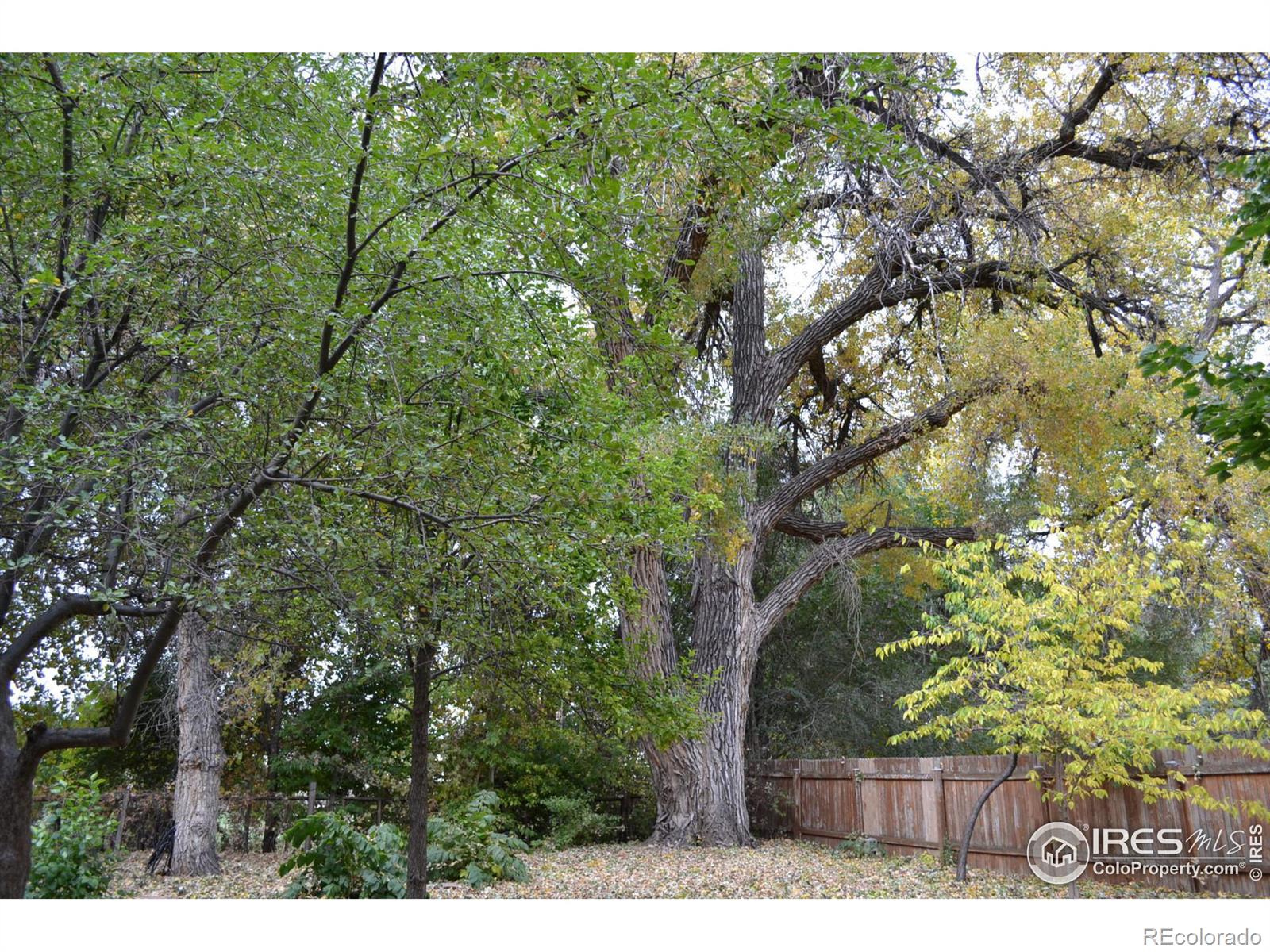 MLS Image #6 for 4040 s garfield avenue,loveland, Colorado