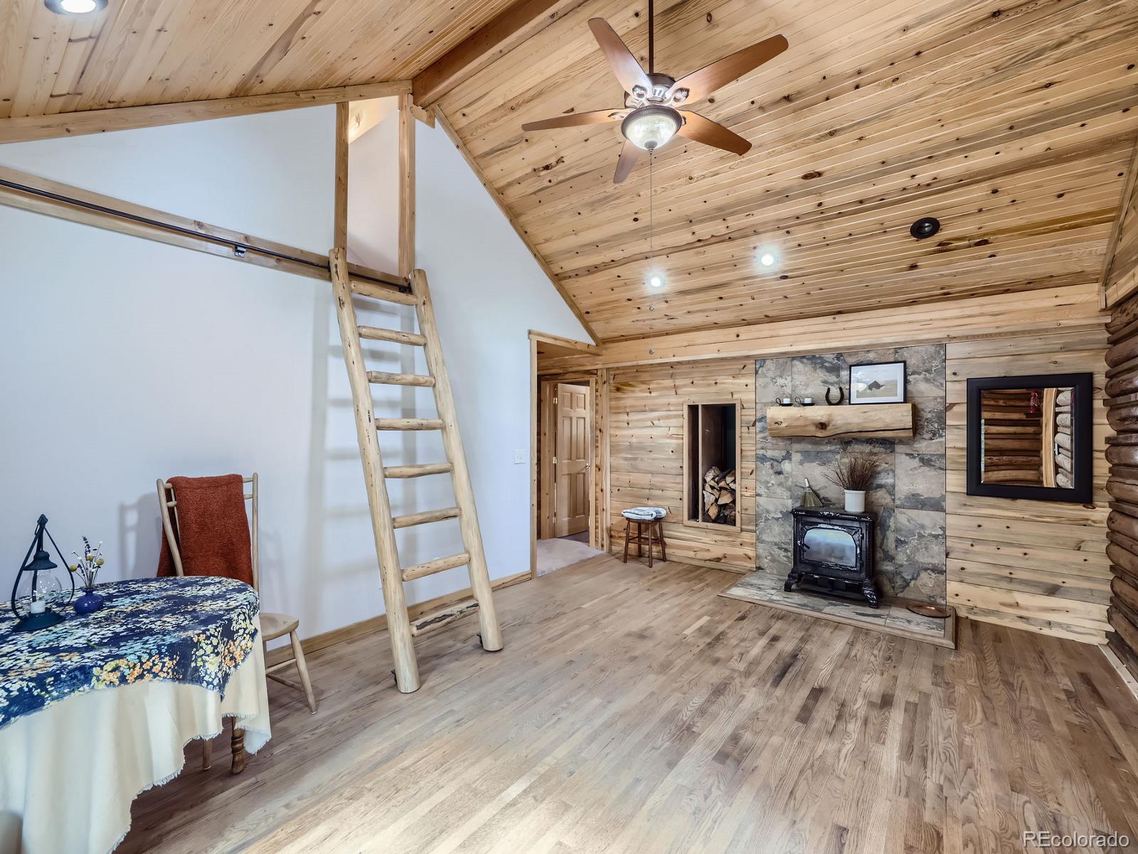 MLS Image #11 for 8137 s brook forest road,evergreen, Colorado