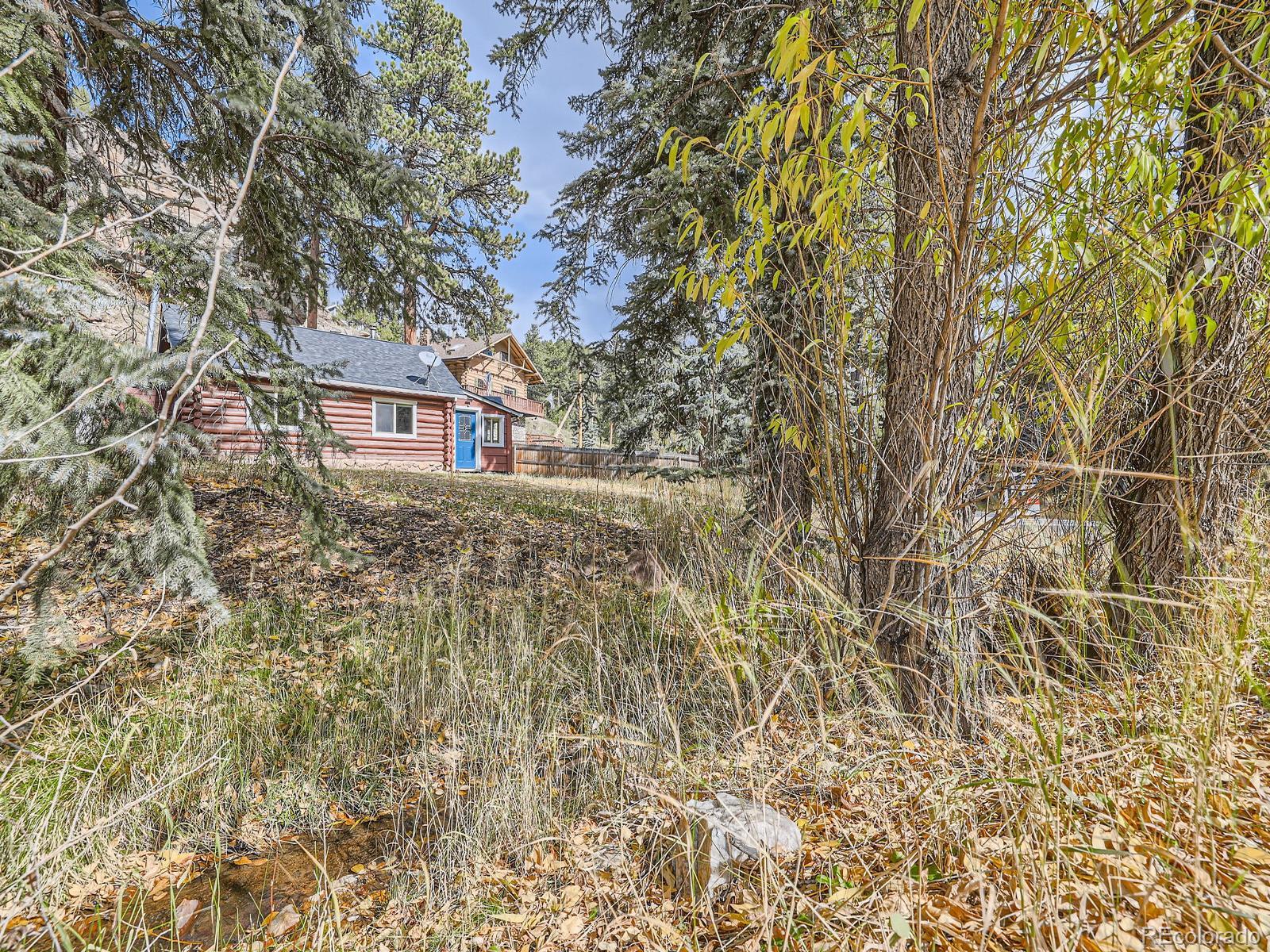 MLS Image #26 for 8137 s brook forest road,evergreen, Colorado