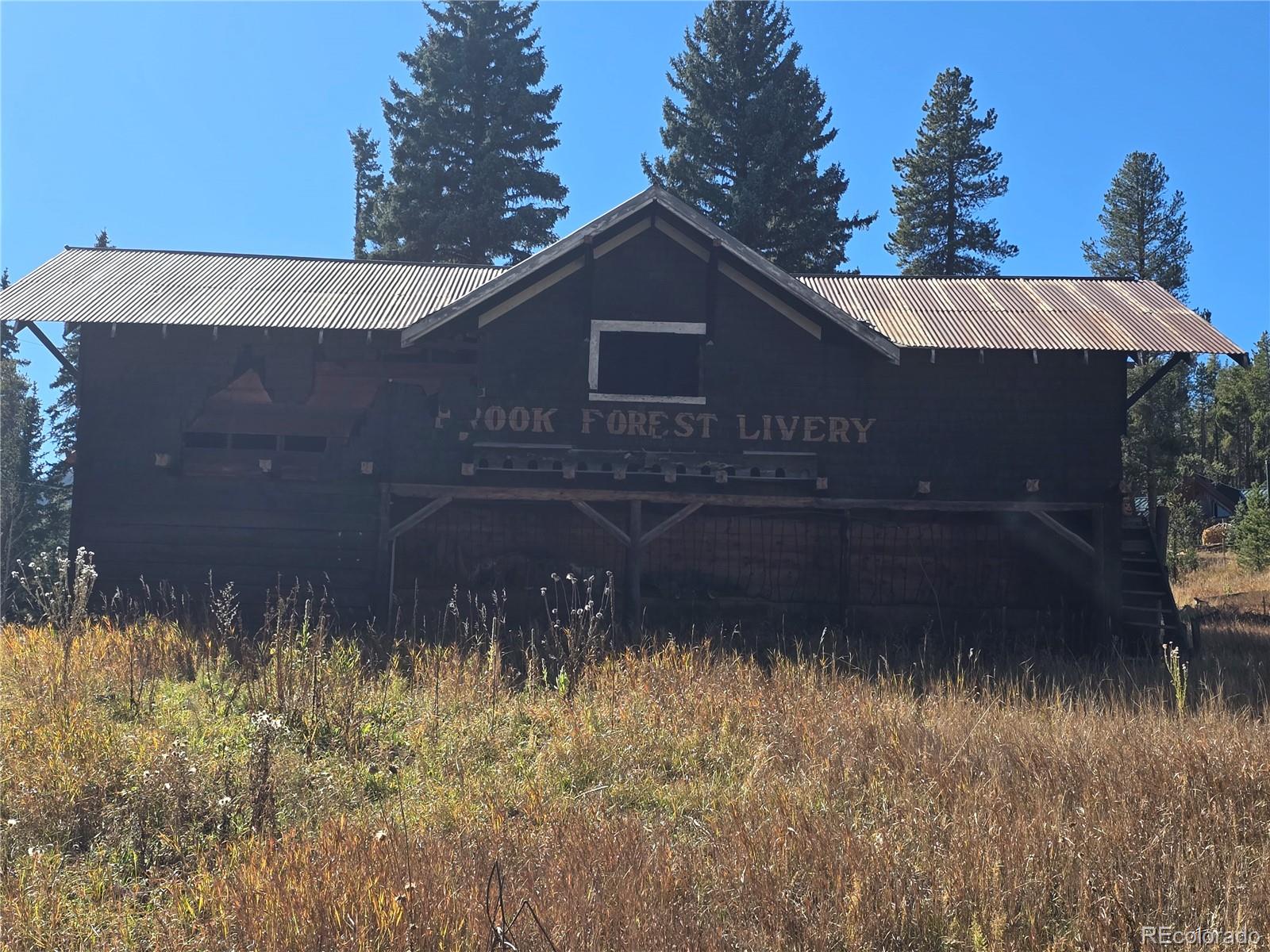 MLS Image #31 for 8137 s brook forest road,evergreen, Colorado