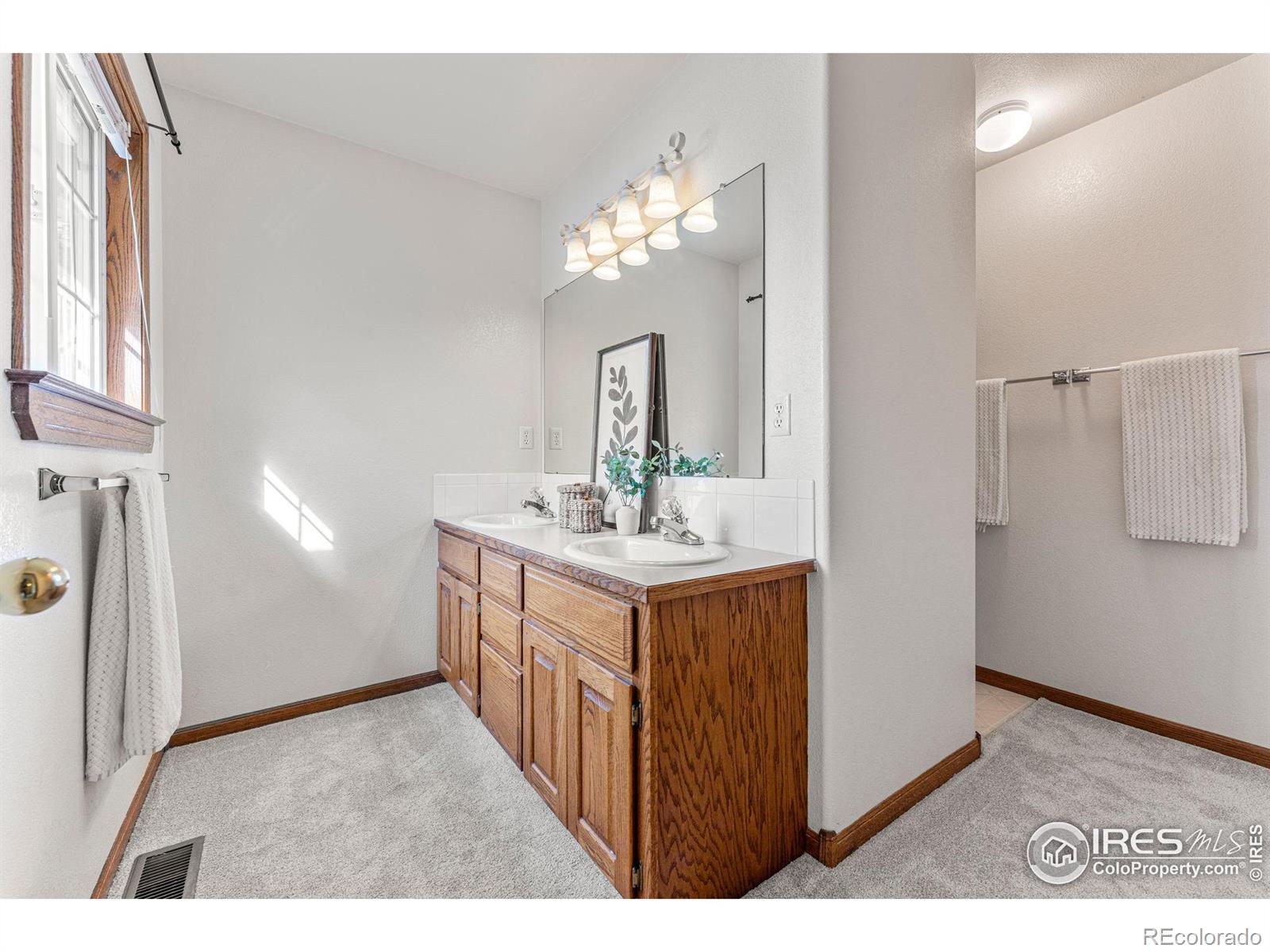 MLS Image #18 for 656  moose court,loveland, Colorado