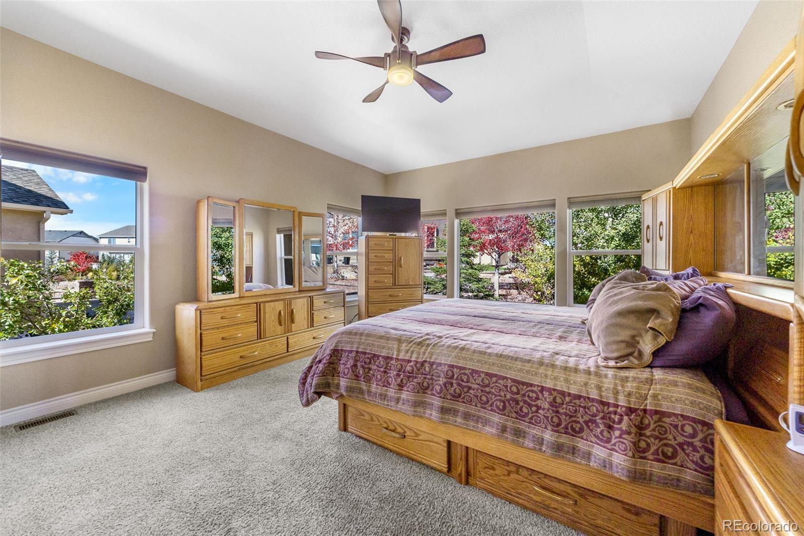 MLS Image #10 for 9188  jasper falls place,colorado springs, Colorado