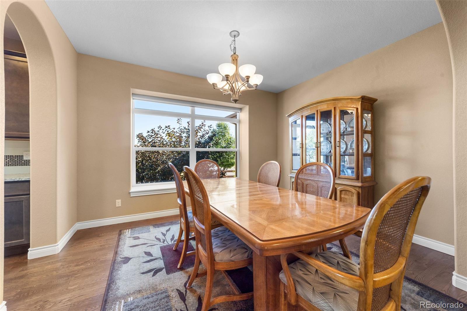 MLS Image #6 for 9188  jasper falls place,colorado springs, Colorado