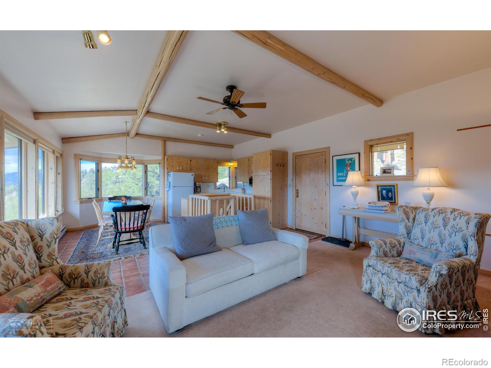 MLS Image #10 for 452  alpine drive,estes park, Colorado