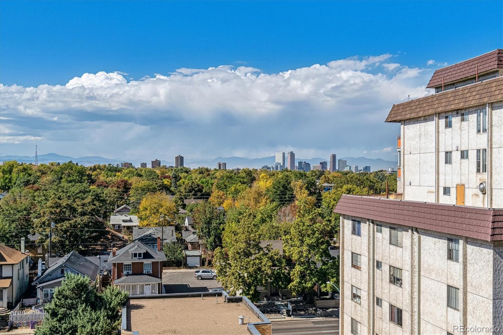 MLS Image #3 for 1121  albion street,denver, Colorado