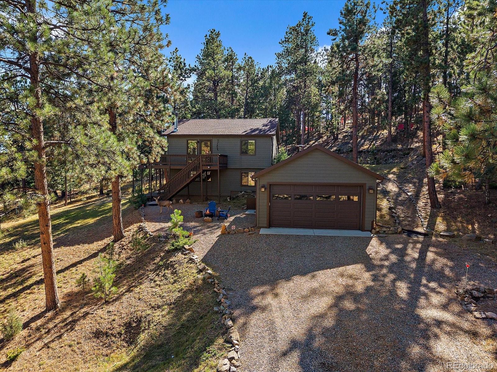 MLS Image #6 for 475  chickadee lane,bailey, Colorado