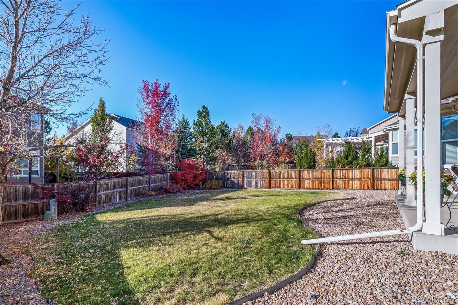 MLS Image #4 for 678  kryptonite drive,castle rock, Colorado