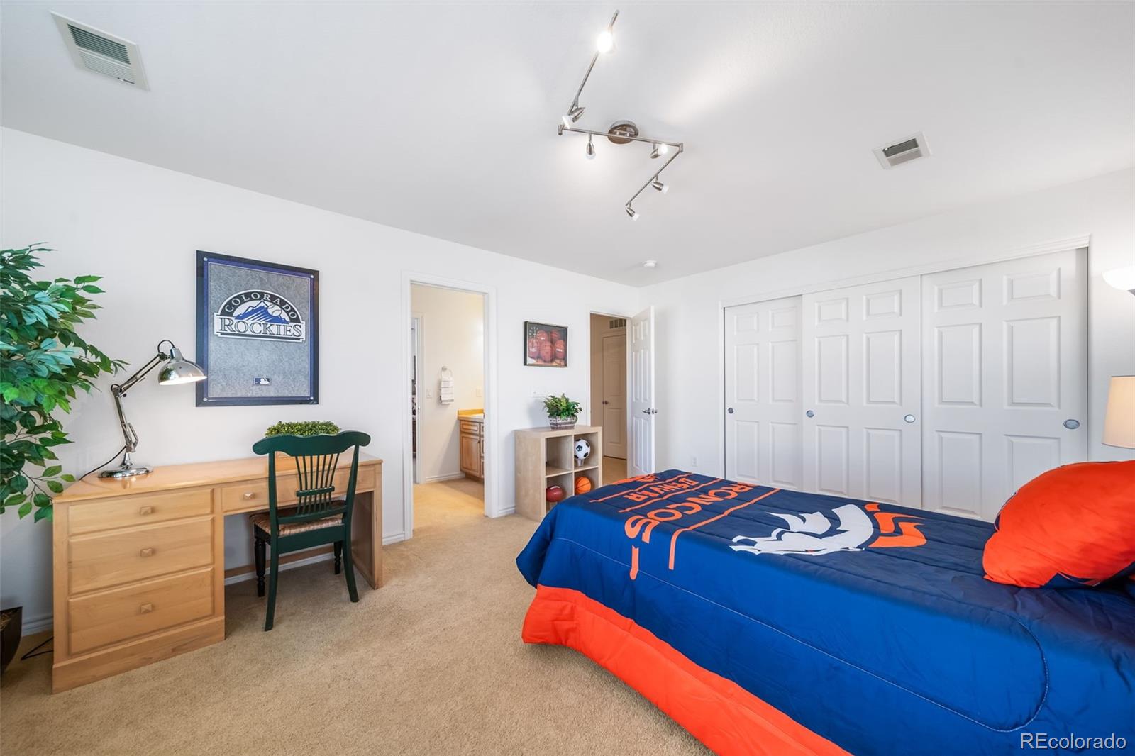 MLS Image #41 for 678  kryptonite drive,castle rock, Colorado