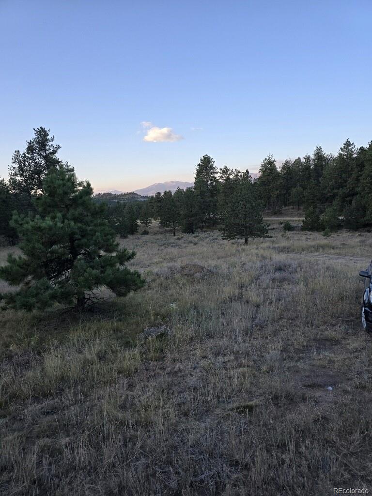 MLS Image #1 for 650  good hope drive,westcliffe, Colorado