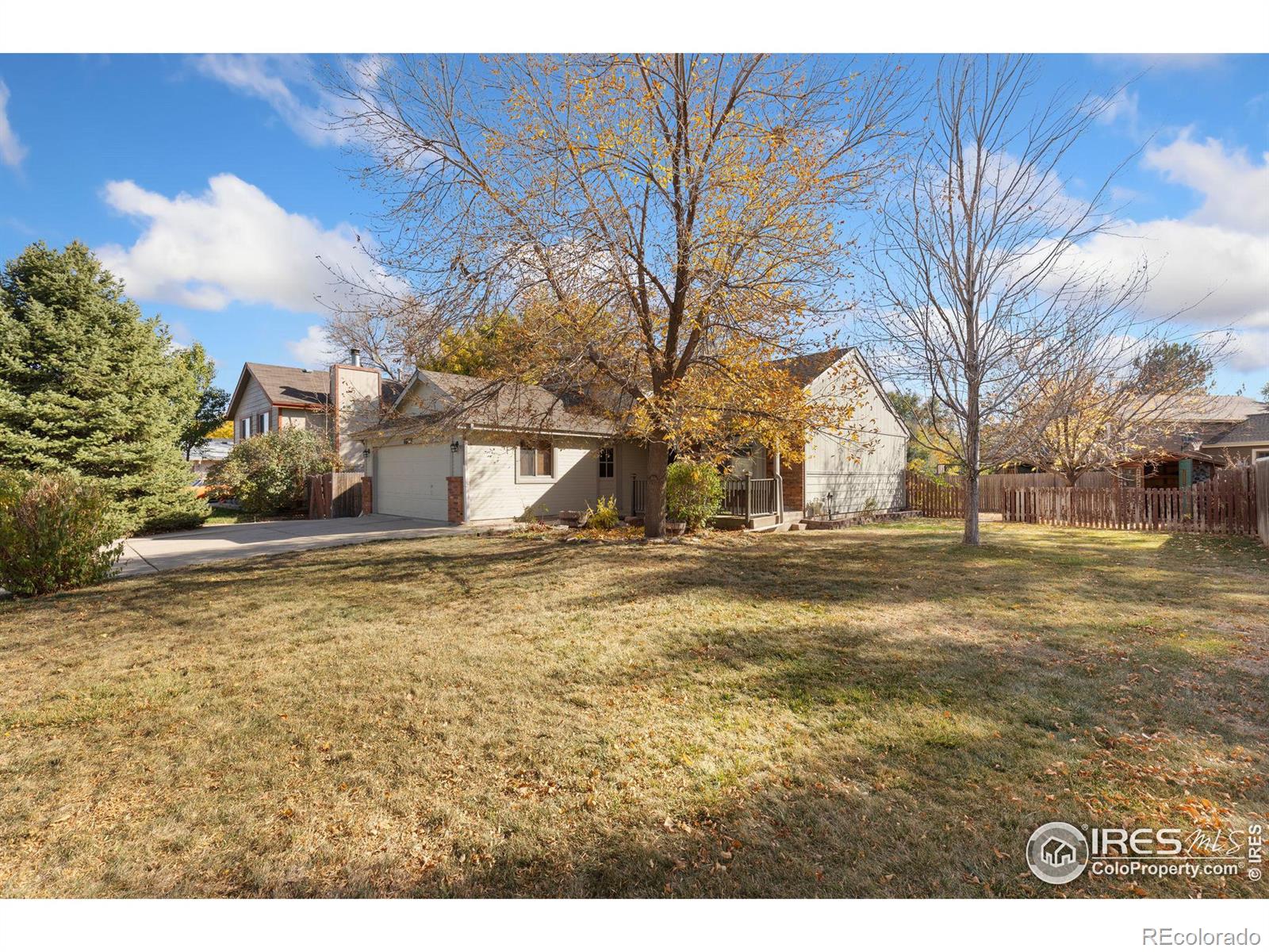 MLS Image #2 for 1613  flemming drive,longmont, Colorado