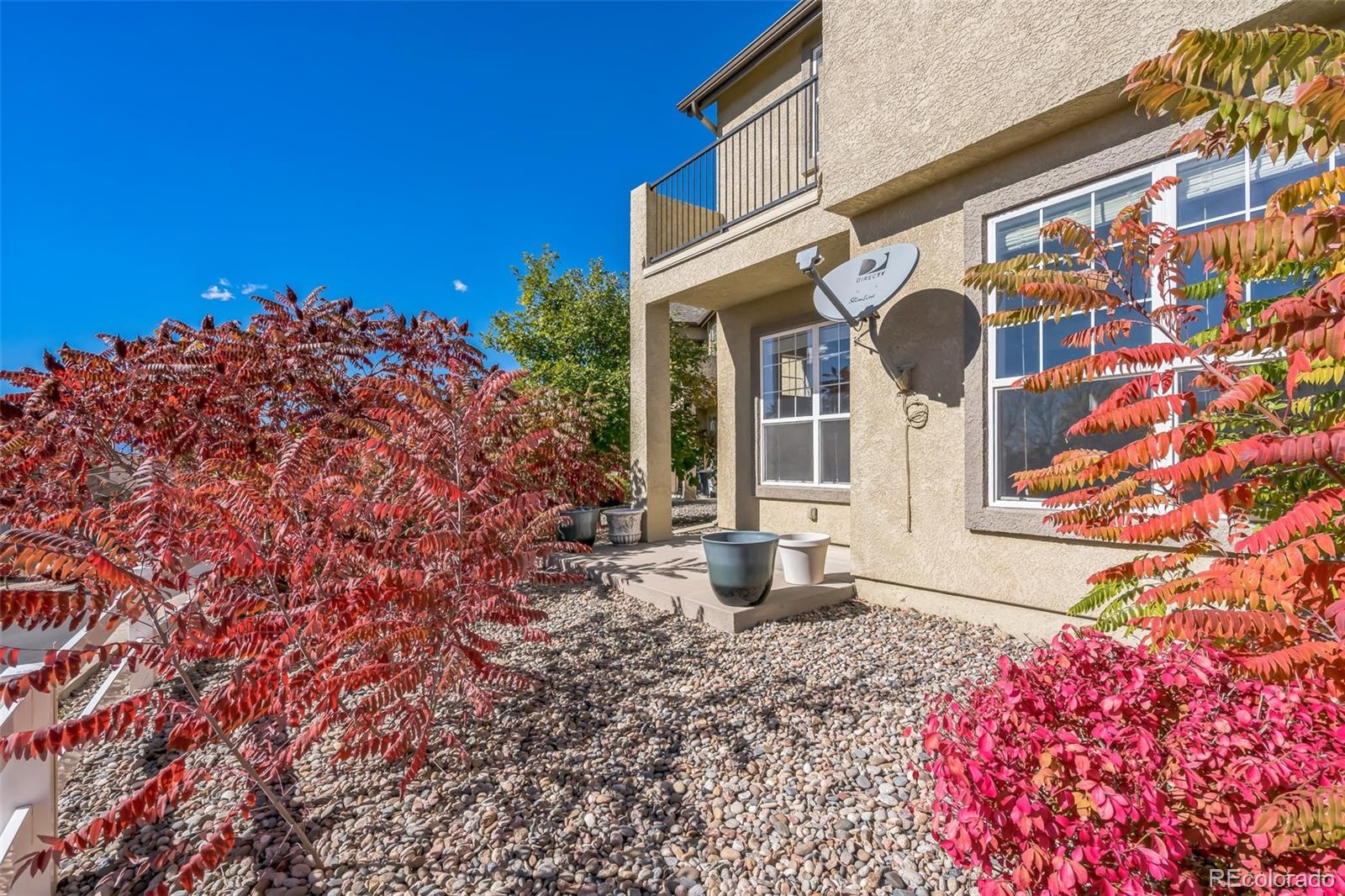 MLS Image #26 for 4224  alder springs view,colorado springs, Colorado