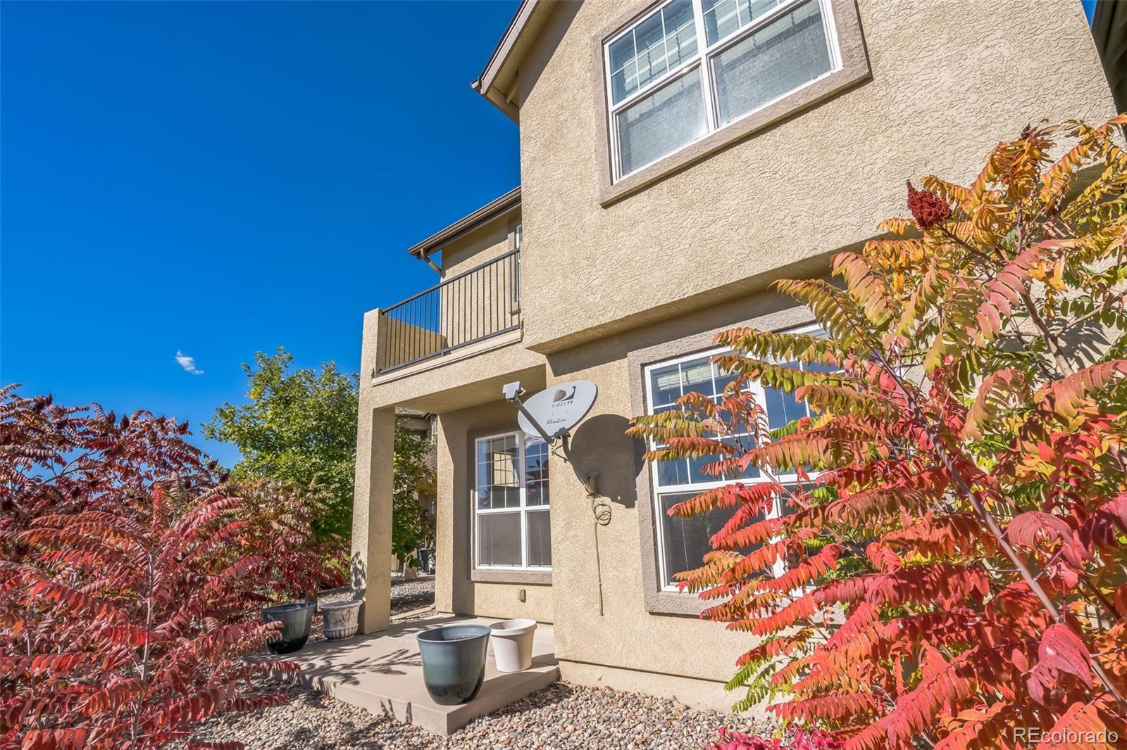 MLS Image #27 for 4224  alder springs view,colorado springs, Colorado