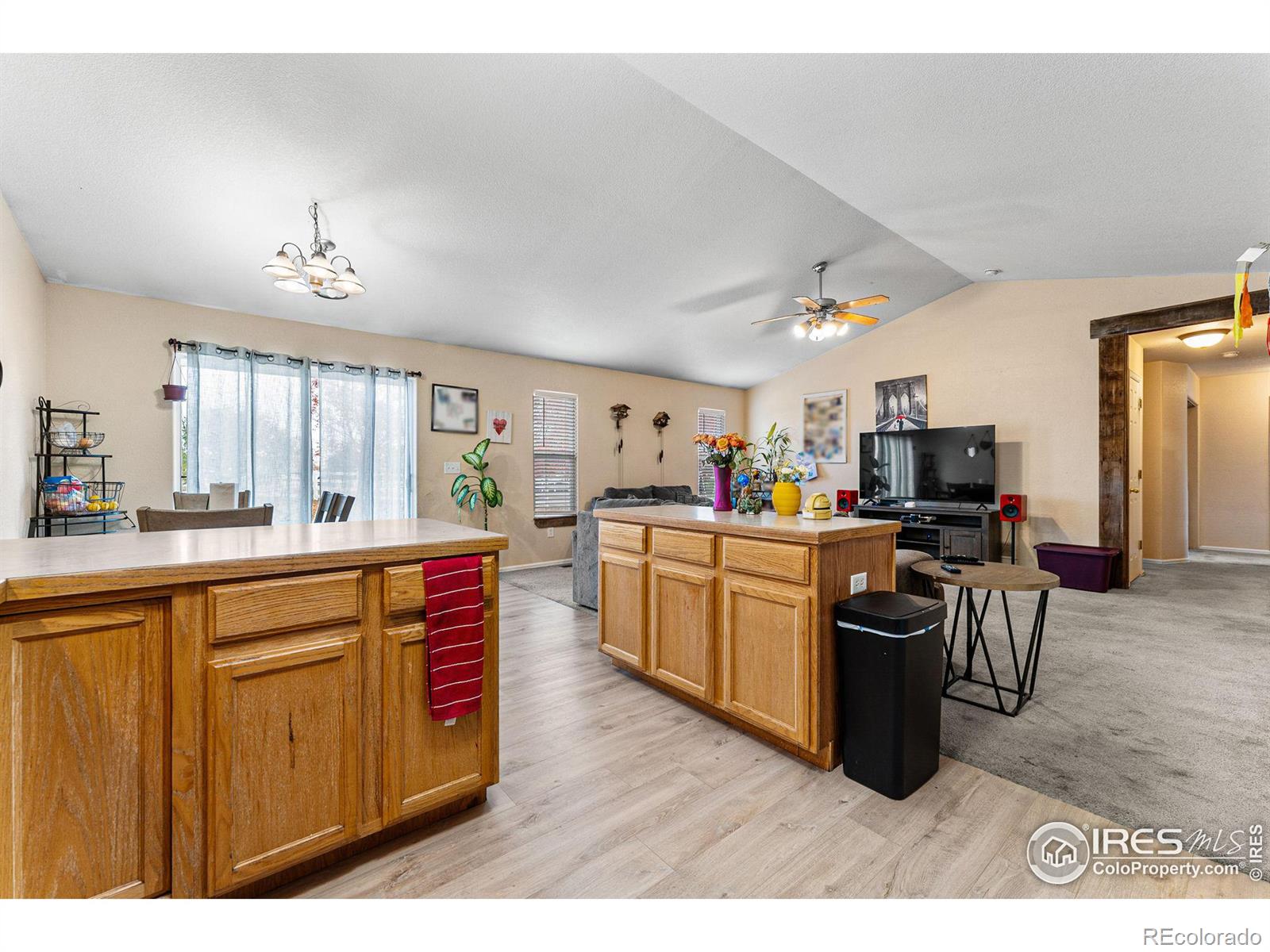 MLS Image #18 for 3736  homestead drive,mead, Colorado