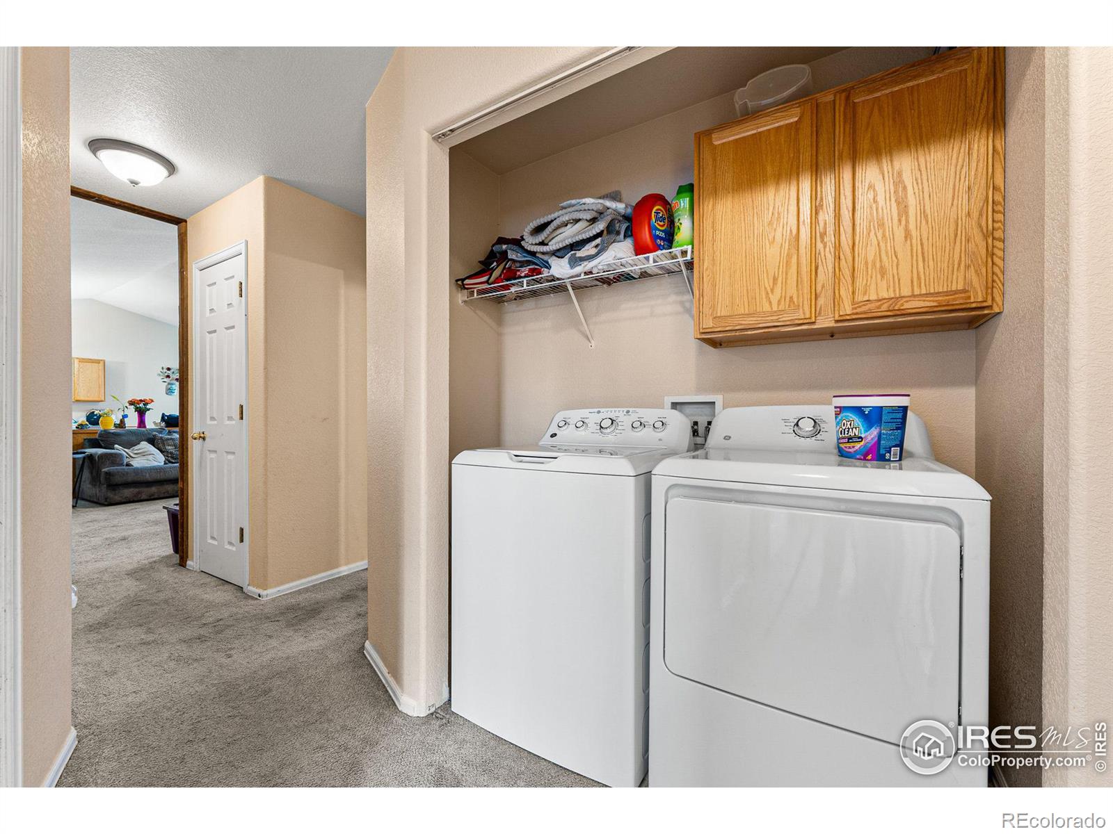 MLS Image #23 for 3736  homestead drive,mead, Colorado