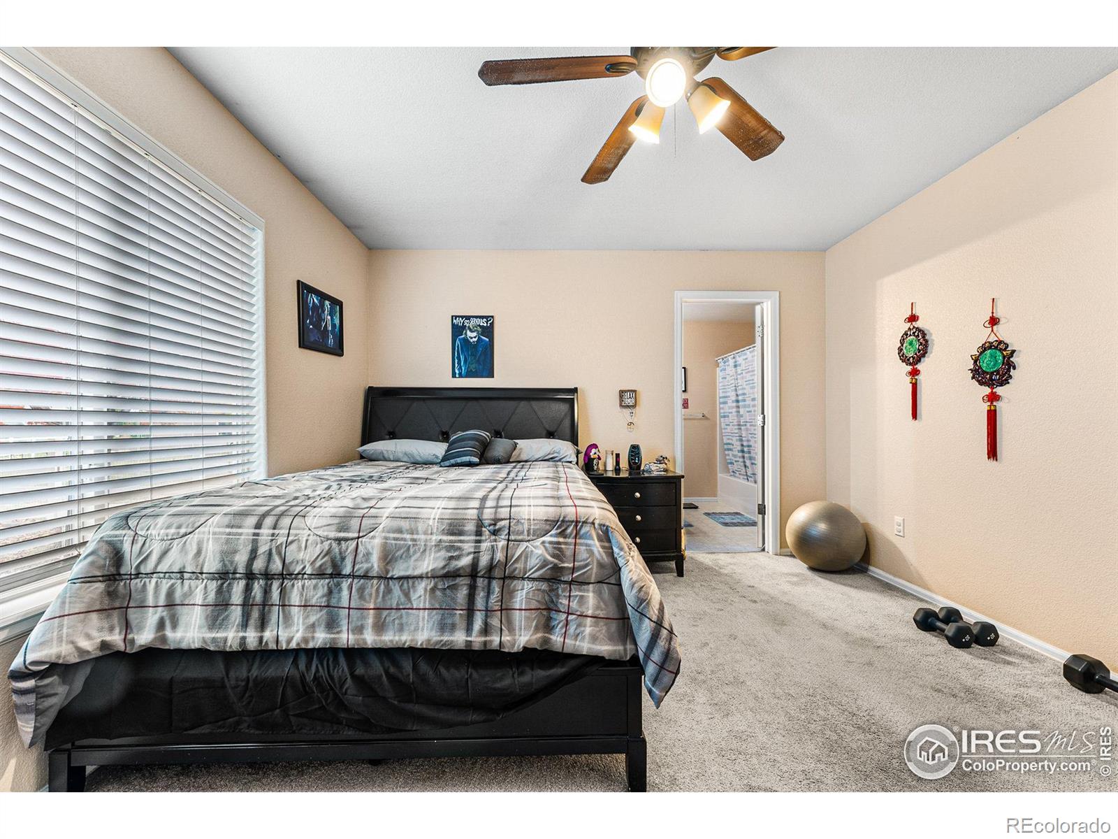 MLS Image #24 for 3736  homestead drive,mead, Colorado