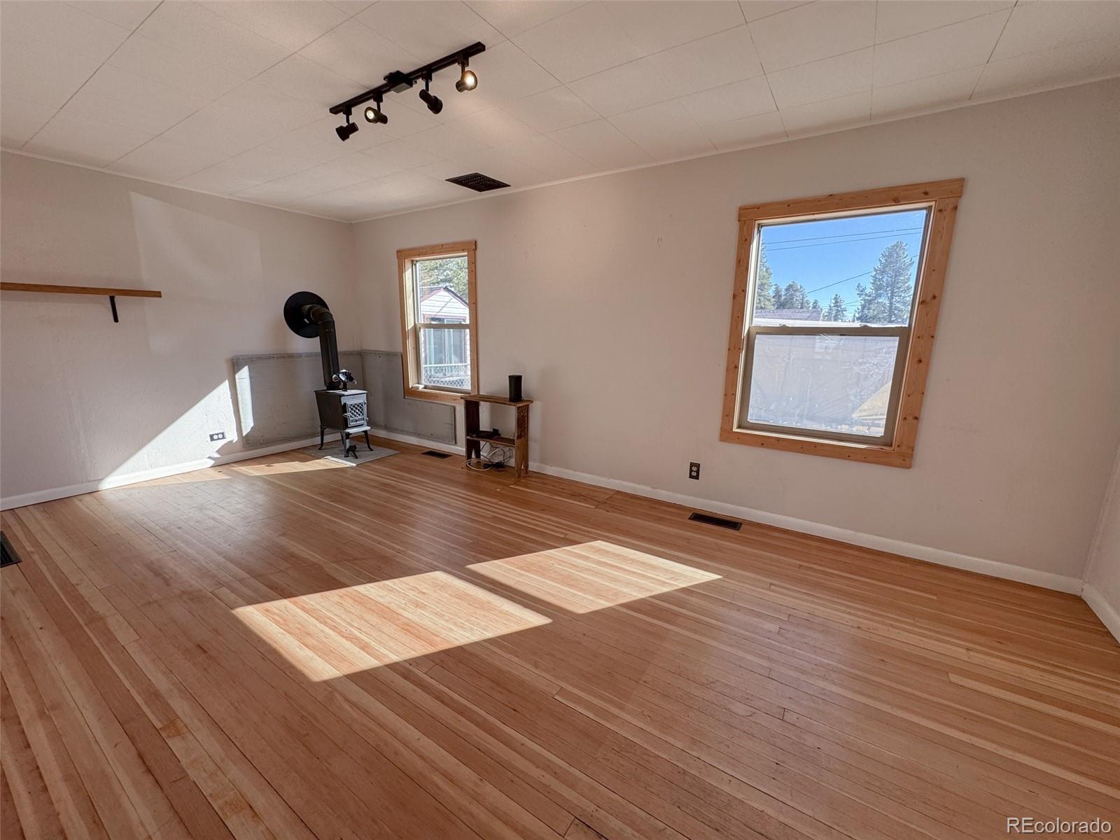 MLS Image #4 for 1605  mt massive drive,leadville, Colorado