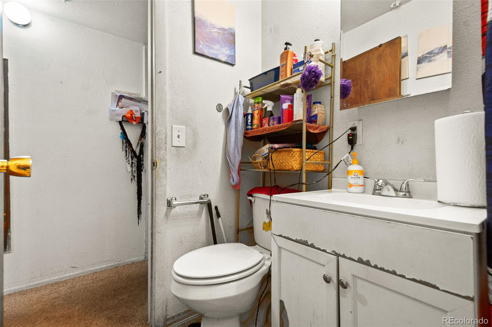 MLS Image #20 for 337 n 10th avenue,brighton, Colorado