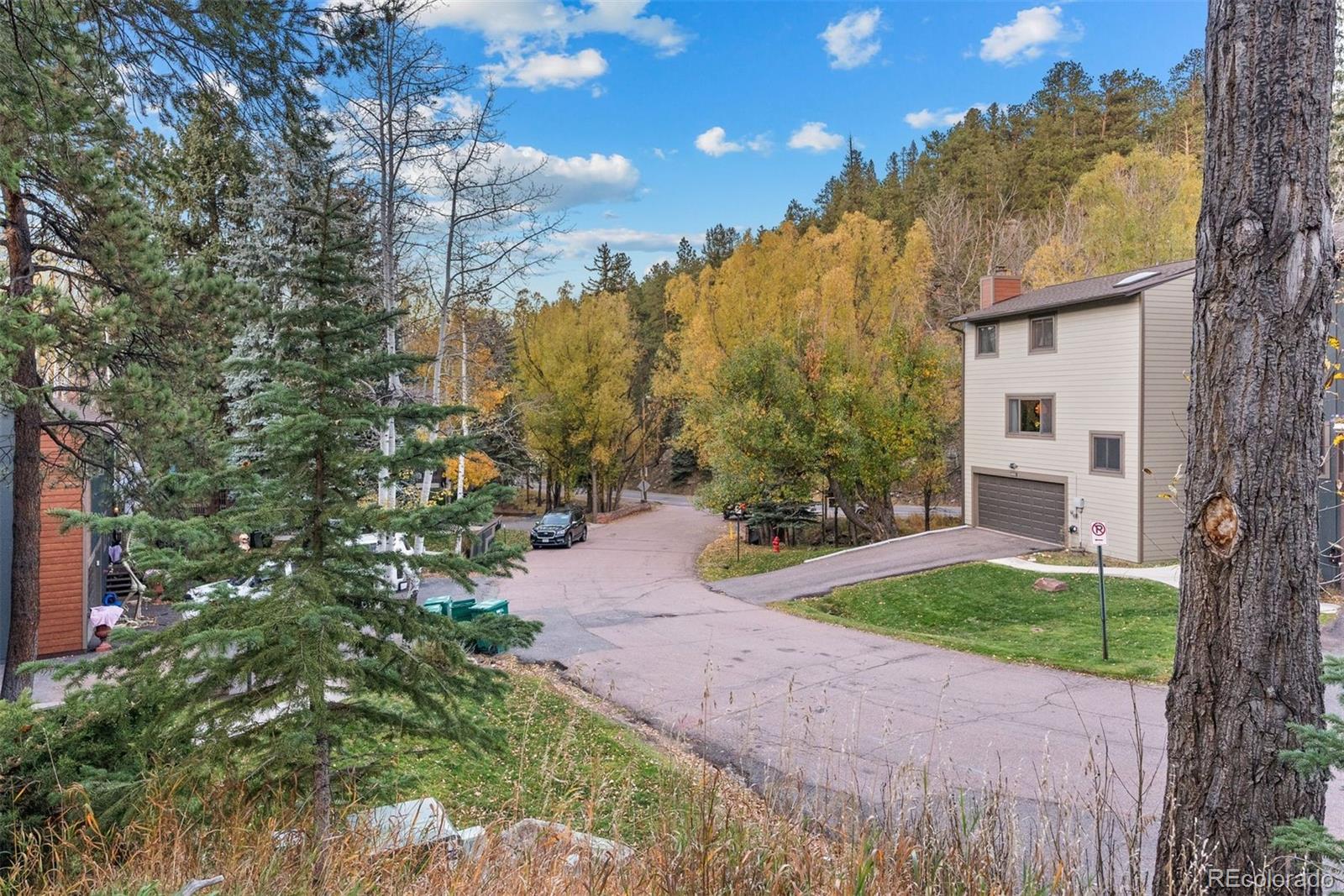 MLS Image #48 for 4885  silver spruce lane,evergreen, Colorado