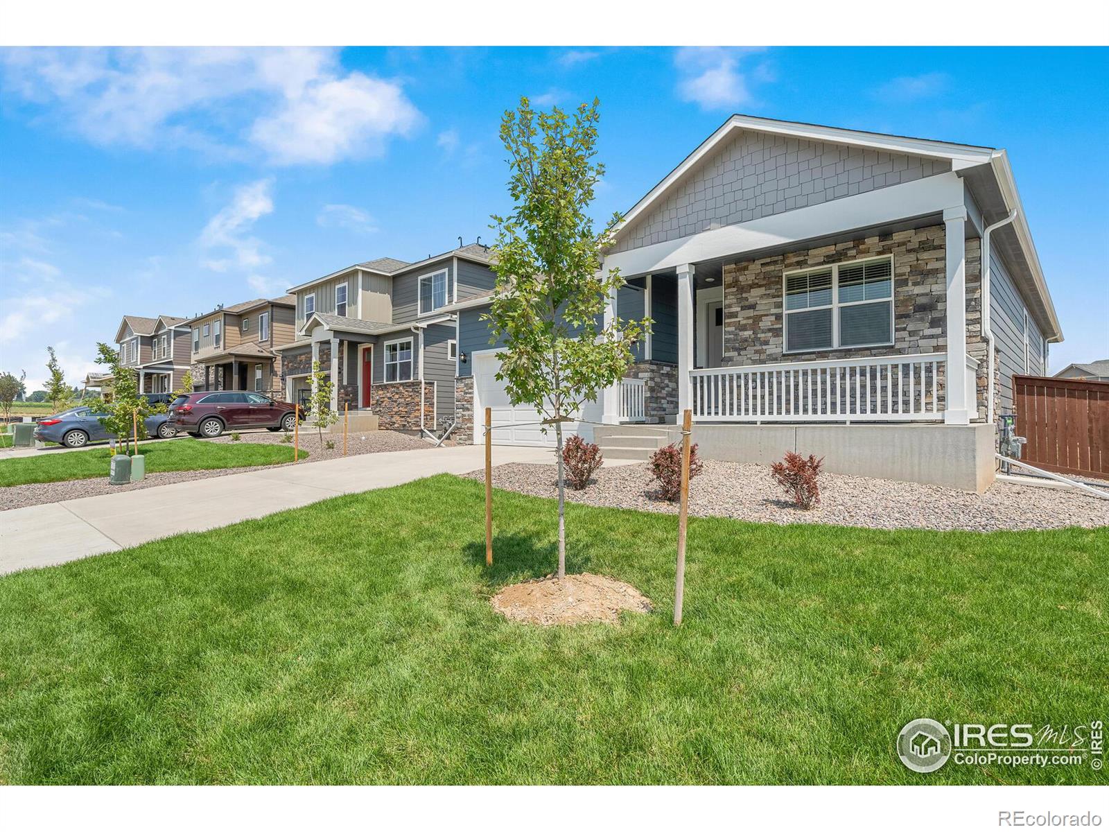 MLS Image #2 for 13705  siltstone place,mead, Colorado