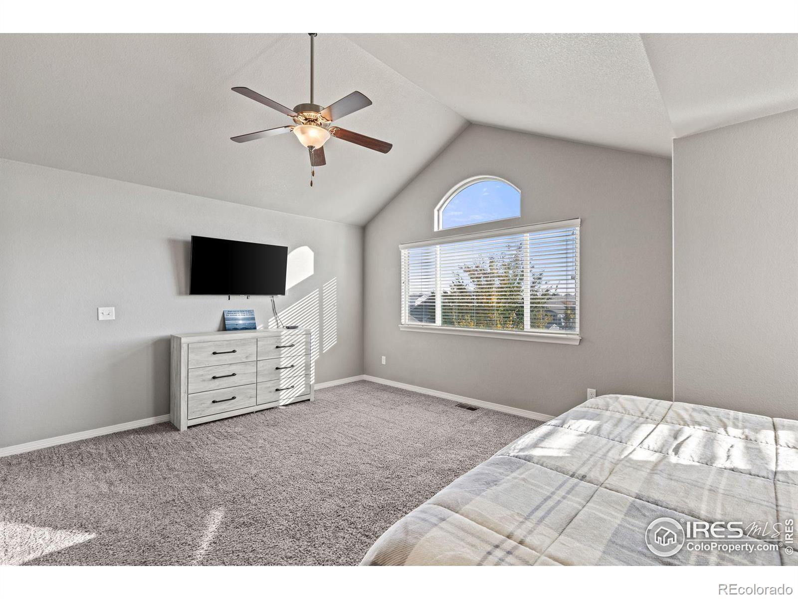 MLS Image #16 for 514  mount rainier street,berthoud, Colorado