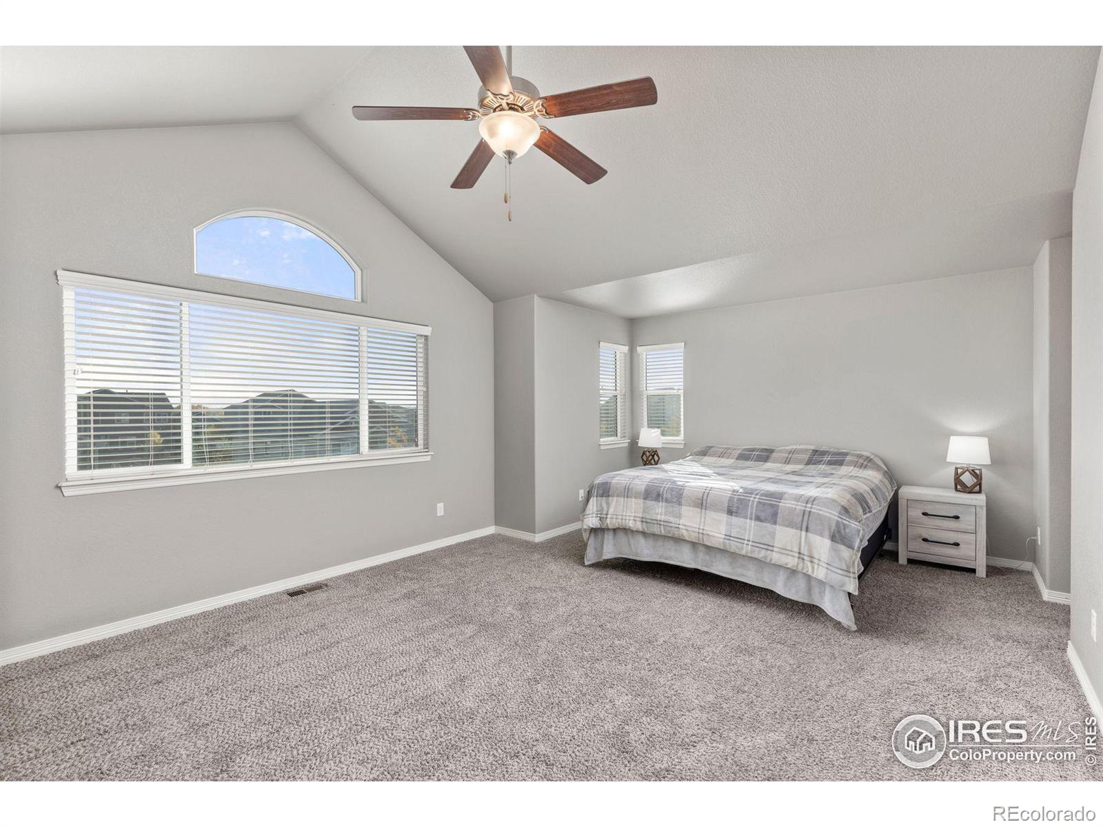 MLS Image #18 for 514  mount rainier street,berthoud, Colorado