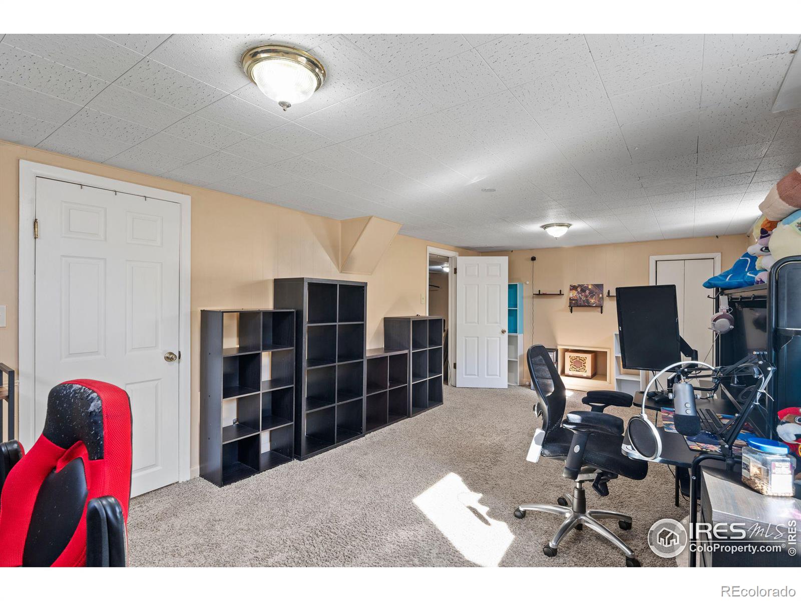 MLS Image #13 for 118  ash avenue,castle rock, Colorado