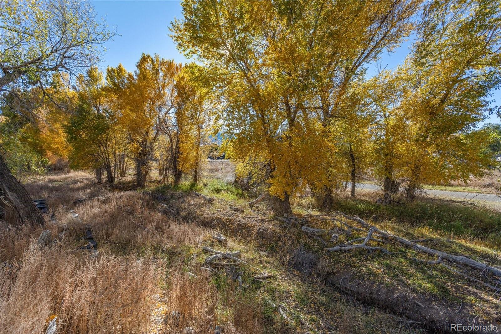 MLS Image #42 for 7032  county road 156c ,salida, Colorado