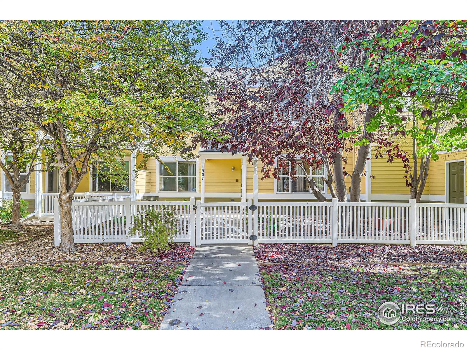 MLS Image #0 for 635  gooseberry drive,longmont, Colorado