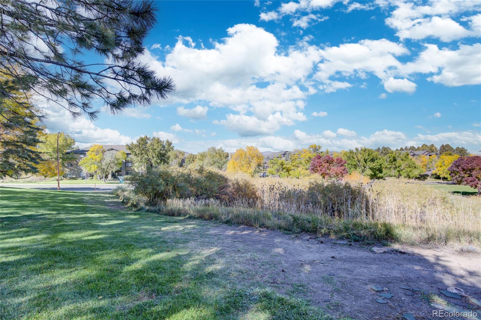 MLS Image #25 for 410  zang street,lakewood, Colorado