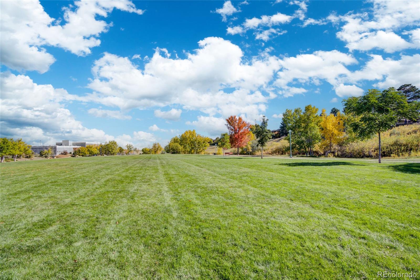 MLS Image #26 for 410  zang street,lakewood, Colorado