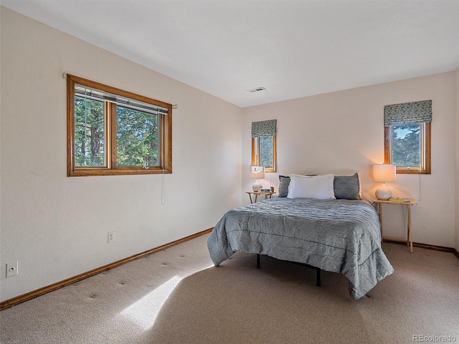 MLS Image #28 for 28249  seabiscuit trail,evergreen, Colorado