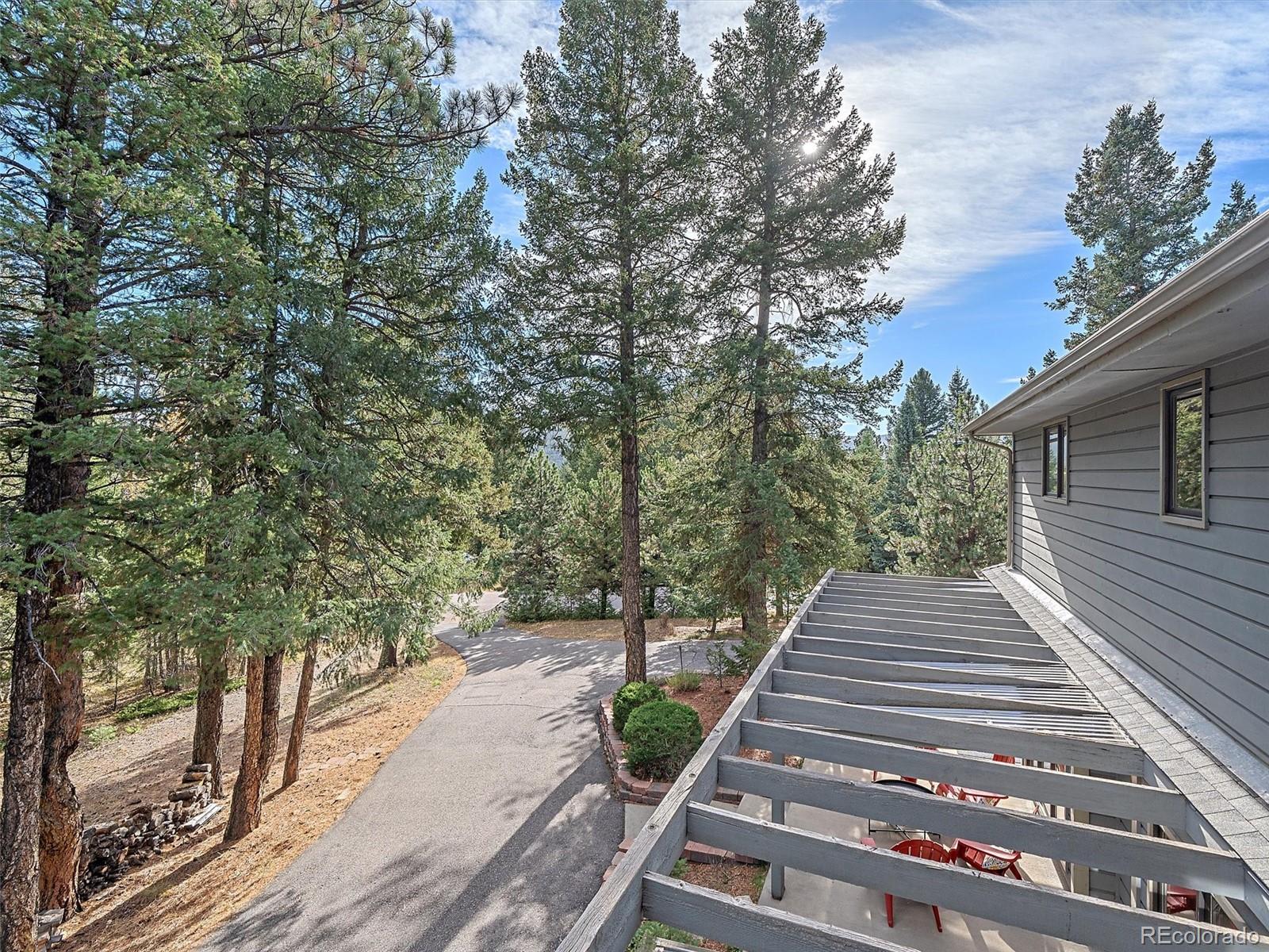 MLS Image #38 for 28249  seabiscuit trail,evergreen, Colorado