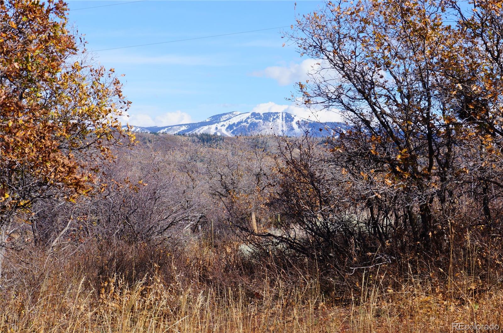 MLS Image #5 for 27300  county road 43 #a ,steamboat springs, Colorado